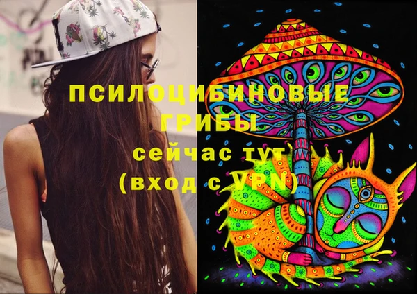 сатива Володарск