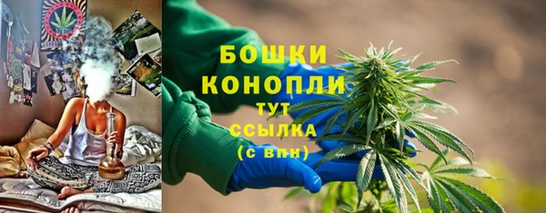 сатива Володарск