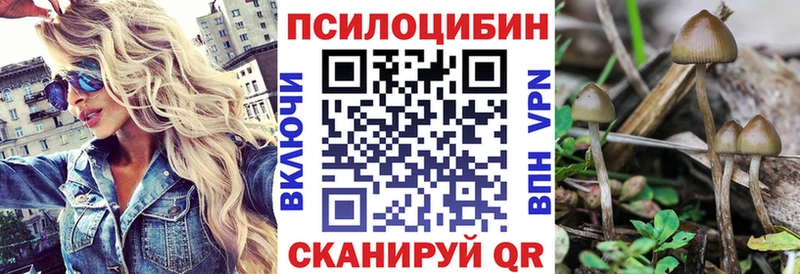 ссылка на мегу зеркало Вытегра Галлюциногенные грибы мицелий